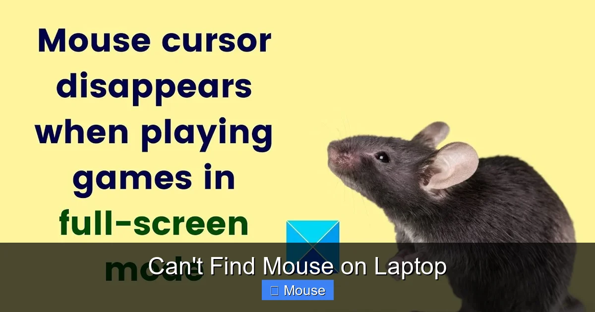 Can't Find Mouse on Laptop