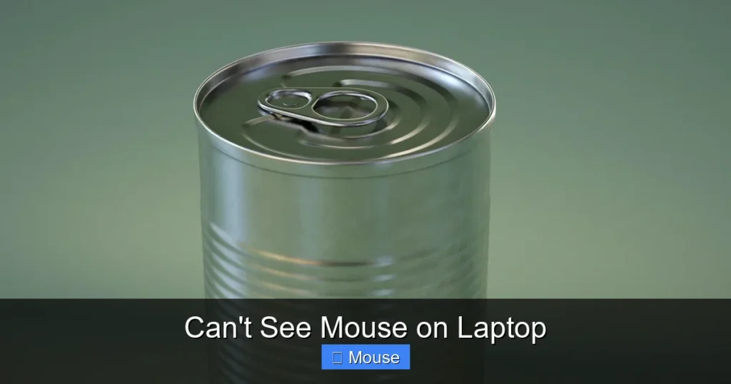 Can't See Mouse on Laptop