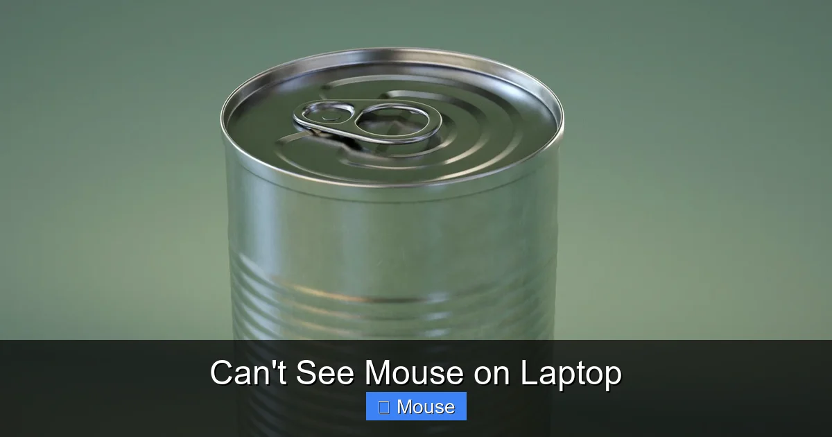 Can't See Mouse on Laptop
