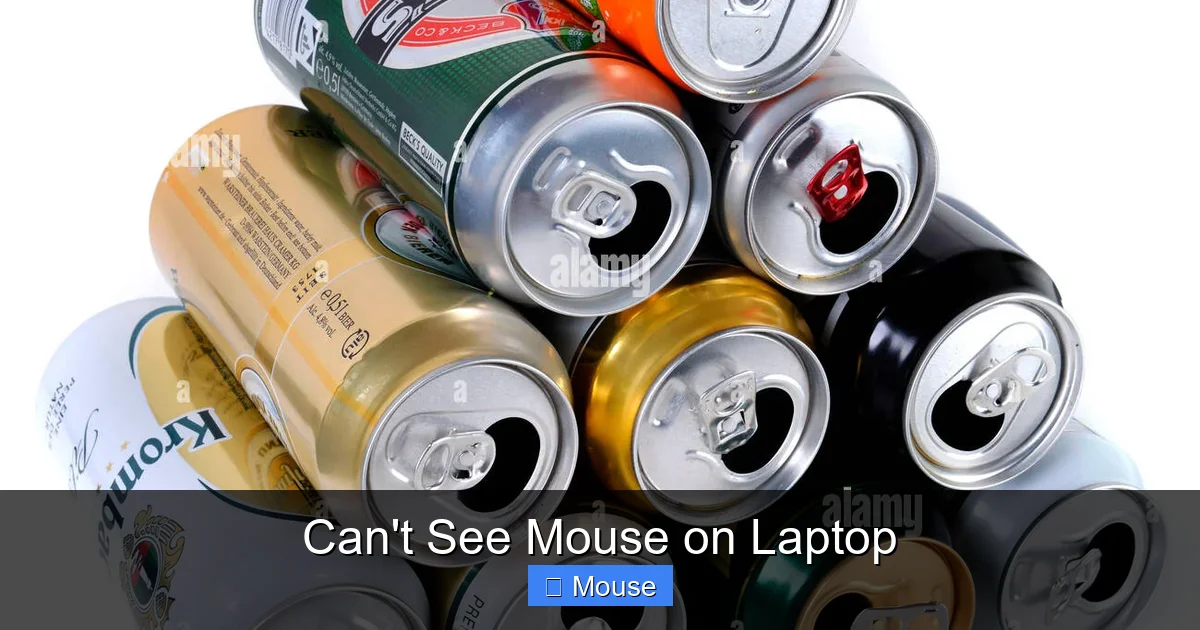 Can't See Mouse on Laptop