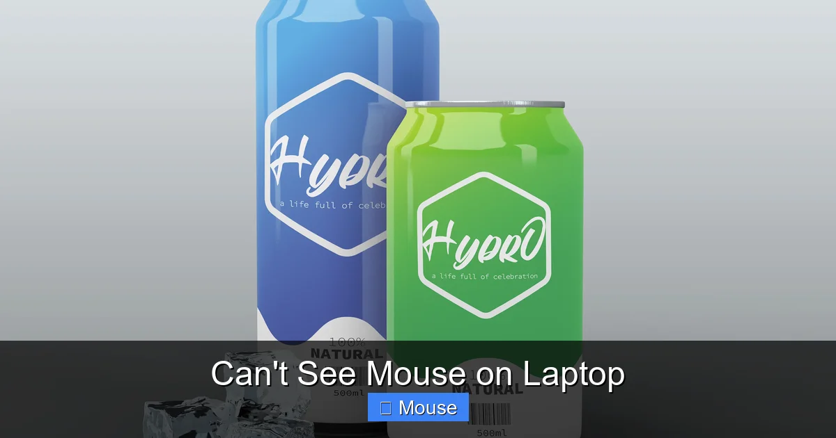 Can't See Mouse on Laptop