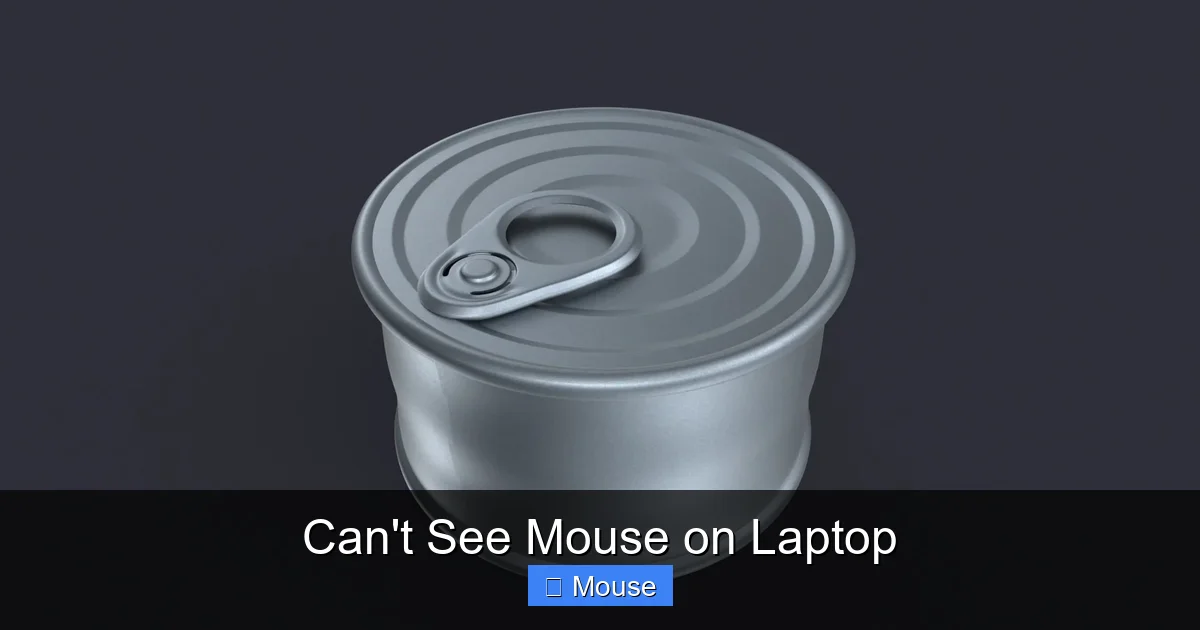 Can't See Mouse on Laptop