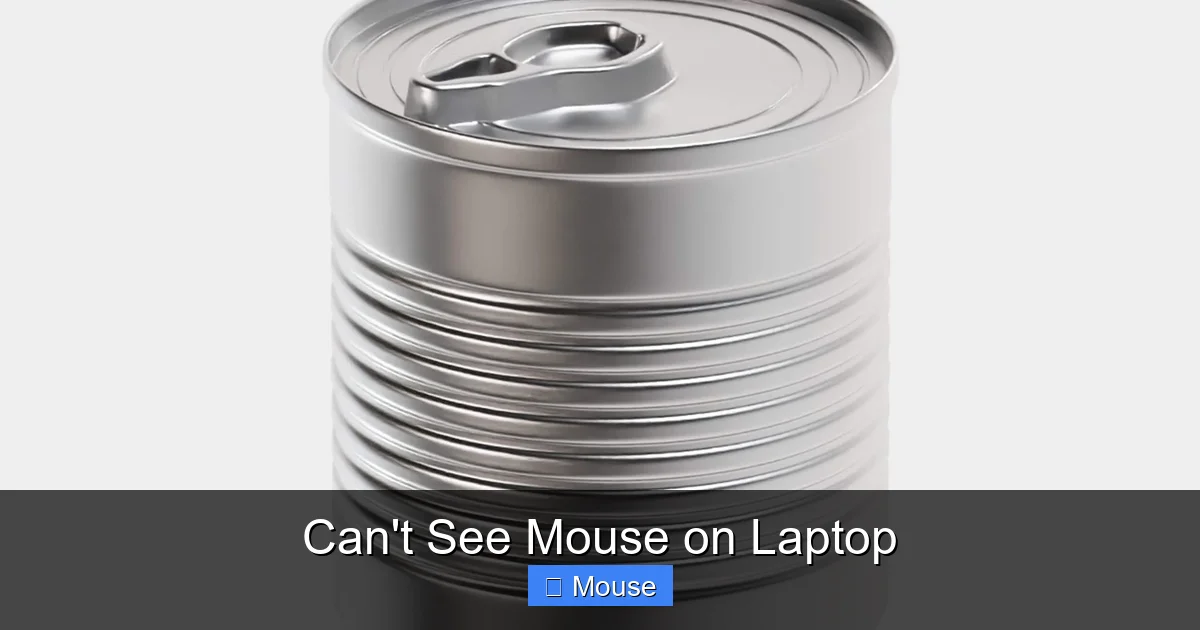 Can't See Mouse on Laptop