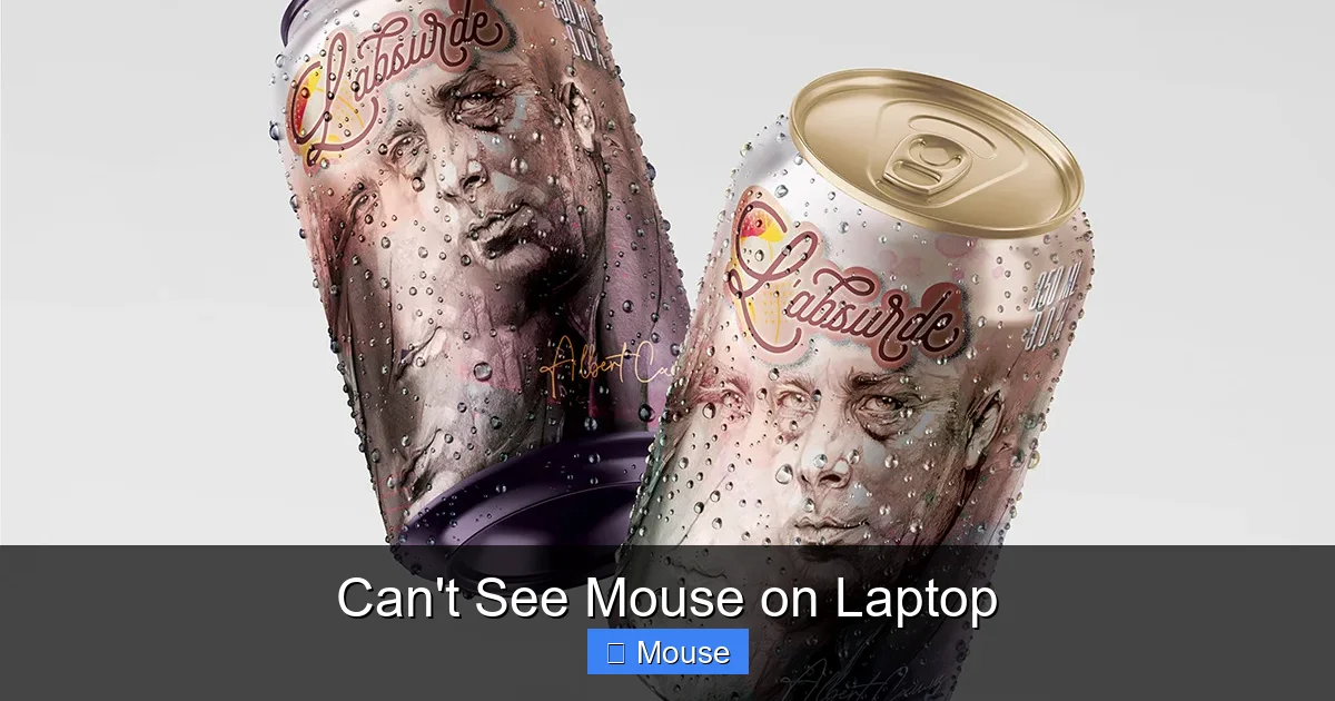 Can't See Mouse on Laptop