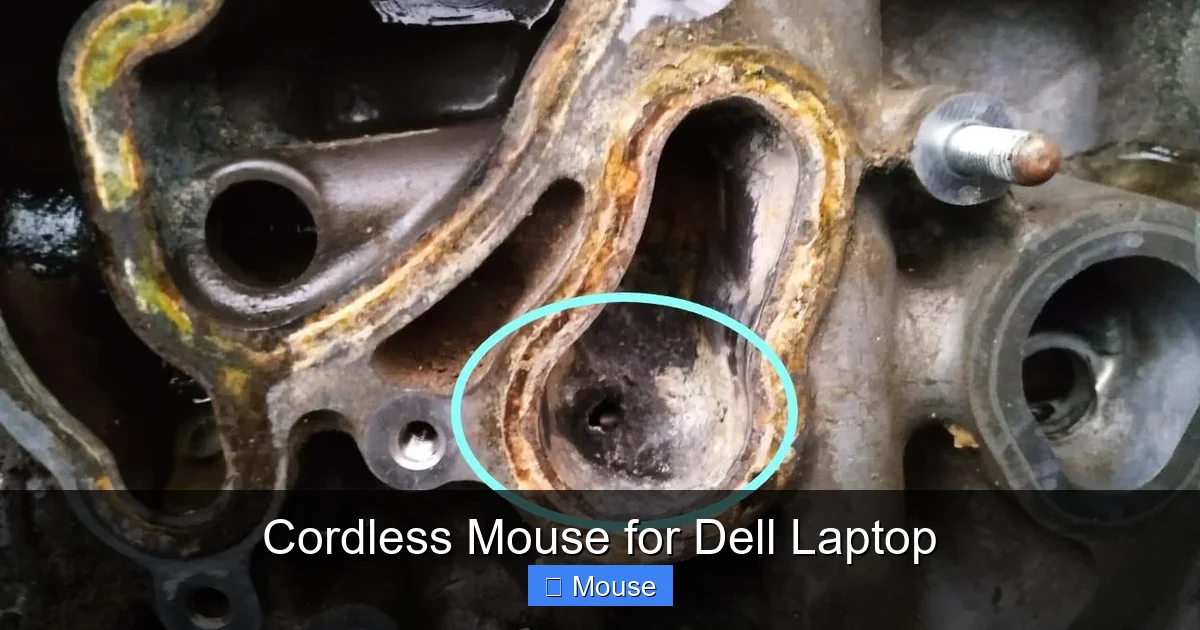 Cordless Mouse for Dell Laptop