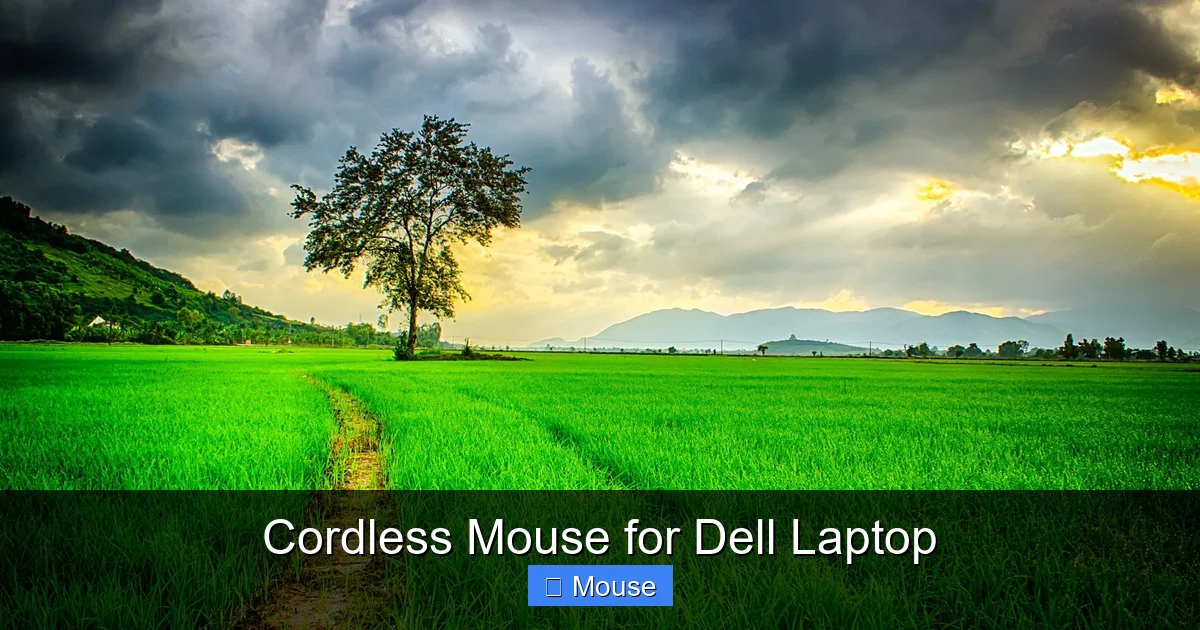 Cordless Mouse for Dell Laptop