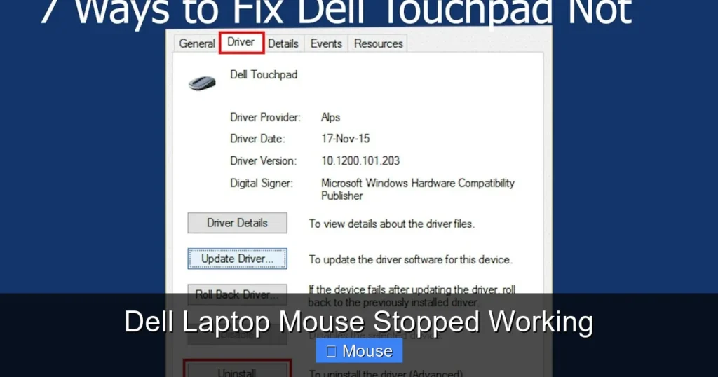 Dell Laptop Mouse Stopped Working