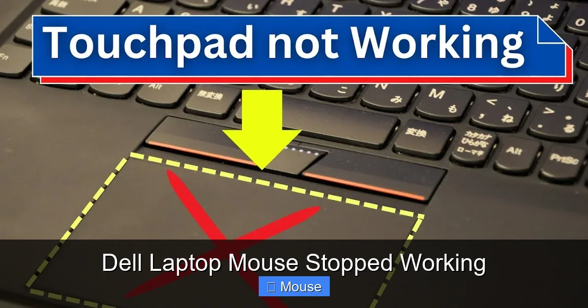 Dell Laptop Mouse Stopped Working