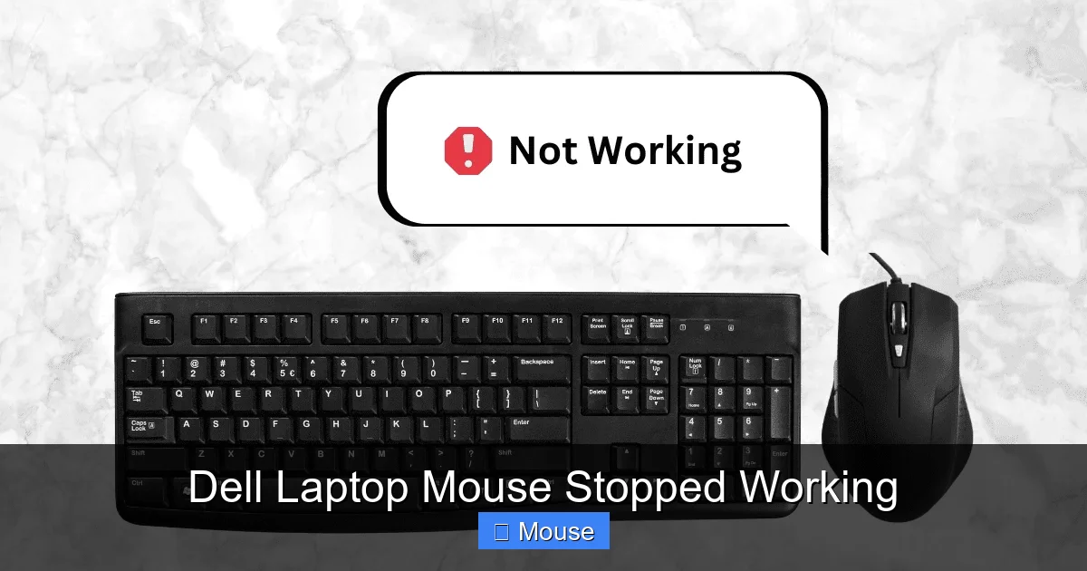 Dell Laptop Mouse Stopped Working