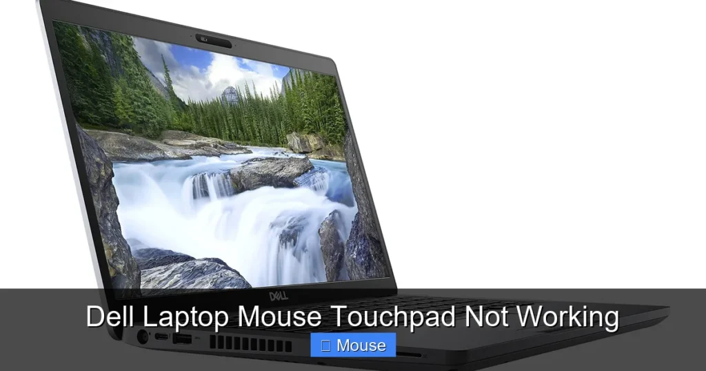 Dell Laptop Mouse Touchpad Not Working