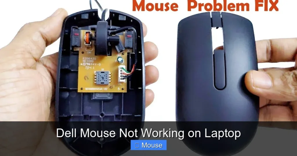 Dell Mouse Not Working on Laptop