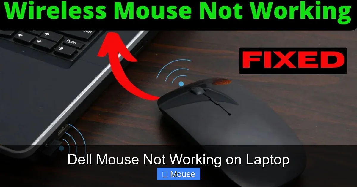 Dell Mouse Not Working on Laptop