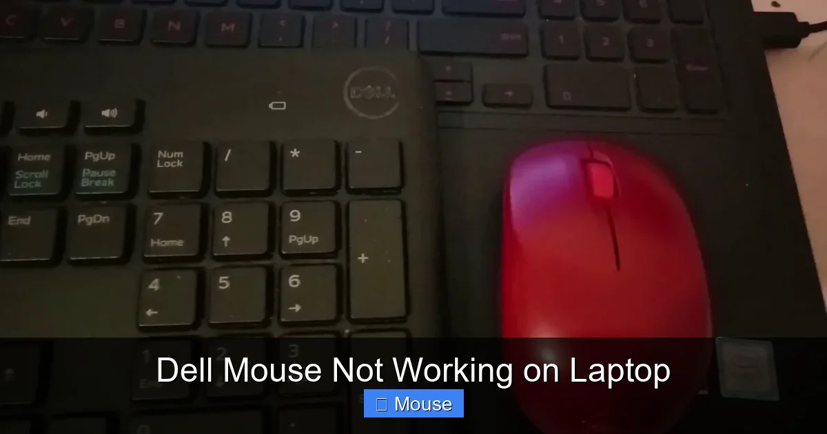 Dell Mouse Not Working on Laptop