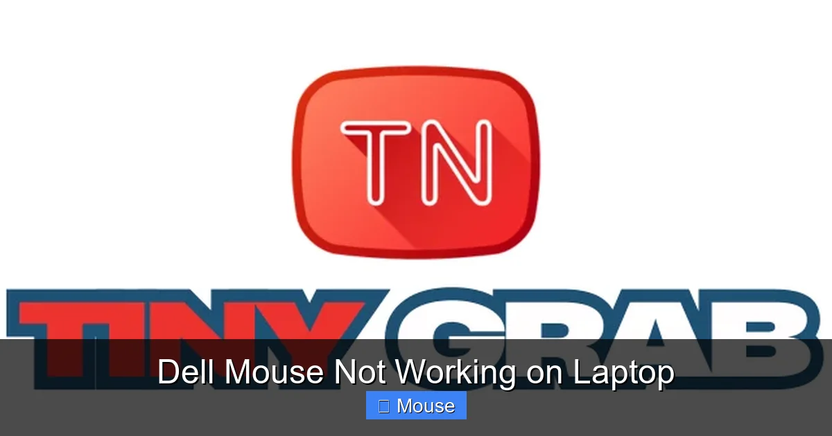 Dell Mouse Not Working on Laptop