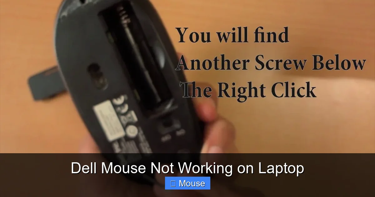 Dell Mouse Not Working on Laptop