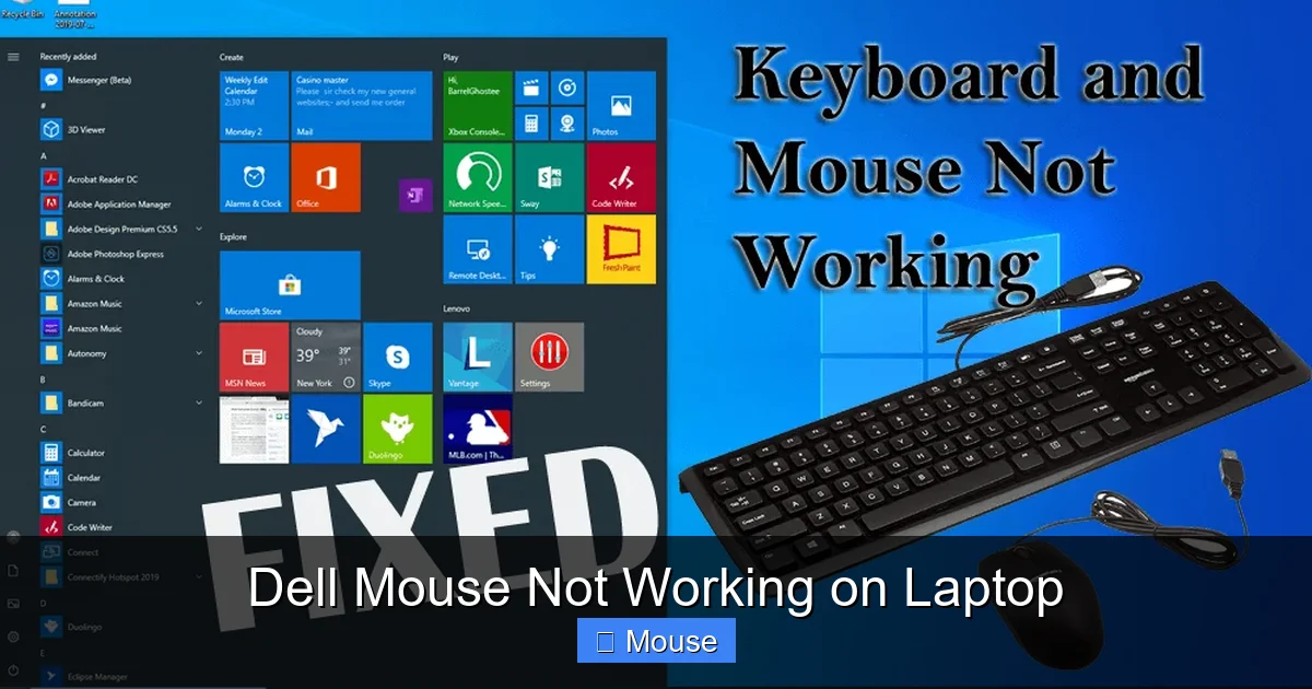 Dell Mouse Not Working on Laptop