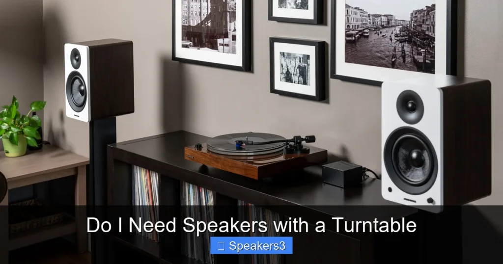 Do I Need Speakers with a Turntable