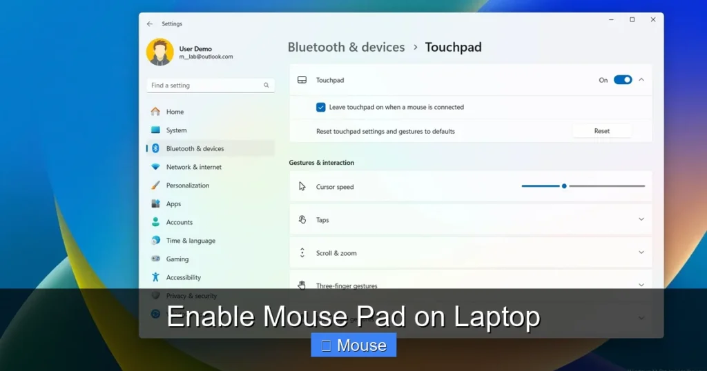 Enable Mouse Pad on Laptop