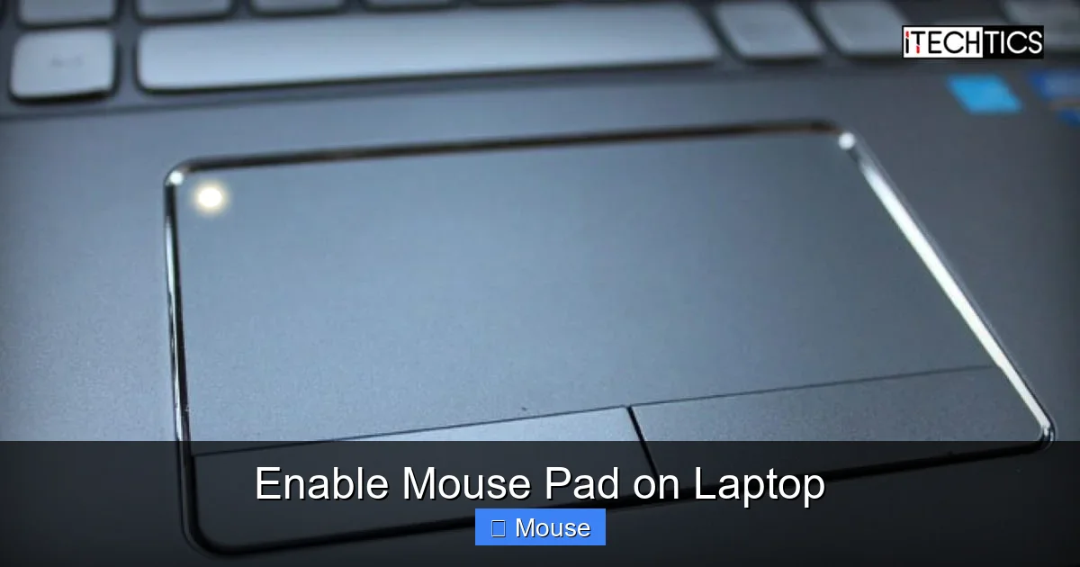 Enable Mouse Pad on Laptop