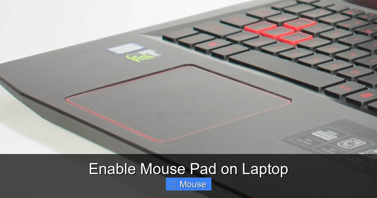 Enable Mouse Pad on Laptop