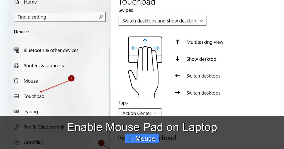 Enable Mouse Pad on Laptop