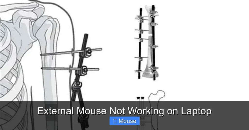 External Mouse Not Working on Laptop