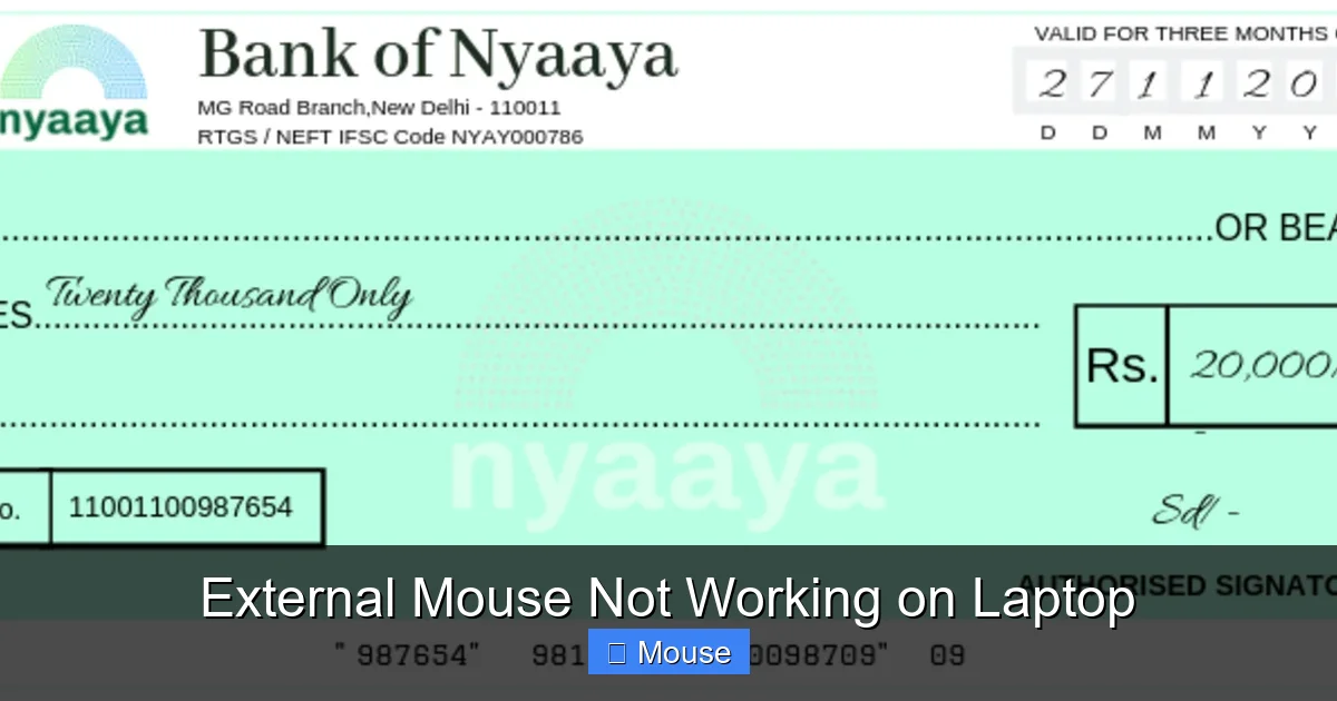 External Mouse Not Working on Laptop