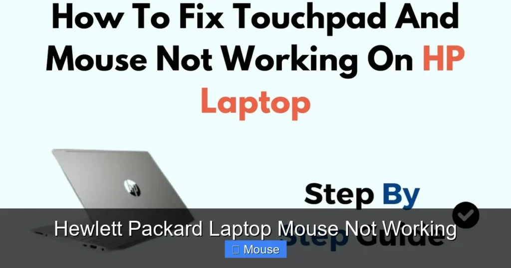 Hewlett Packard Laptop Mouse Not Working