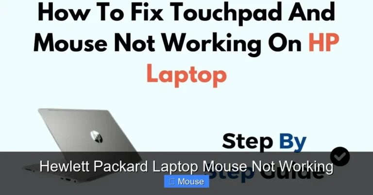 Hewlett Packard Laptop Mouse Not Working