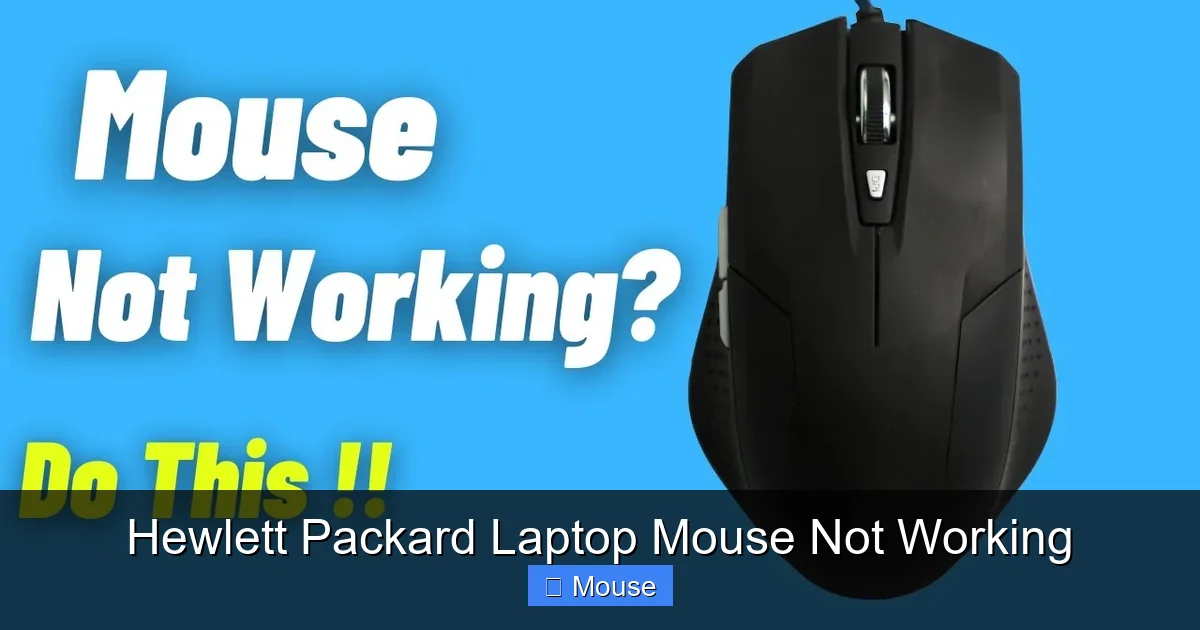 Hewlett Packard Laptop Mouse Not Working