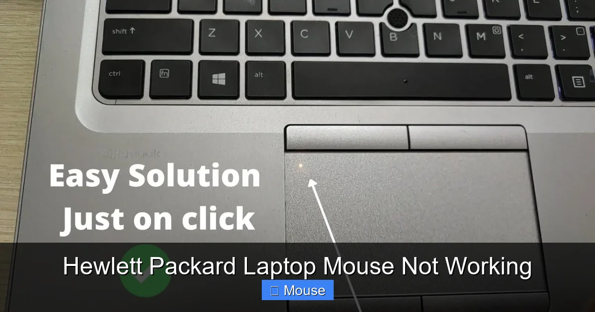 Hewlett Packard Laptop Mouse Not Working