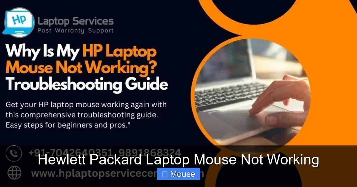 Hewlett Packard Laptop Mouse Not Working
