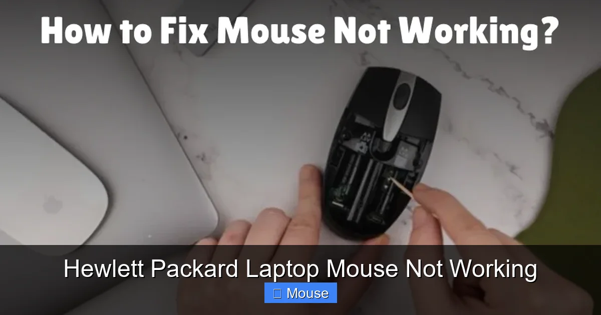 Hewlett Packard Laptop Mouse Not Working