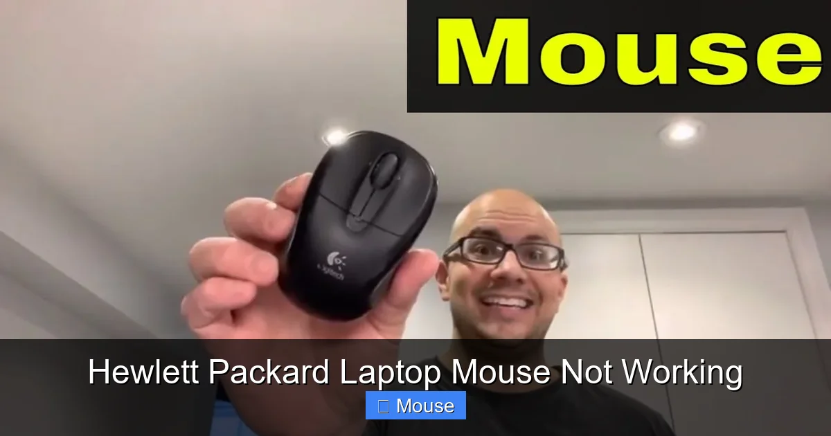 Hewlett Packard Laptop Mouse Not Working
