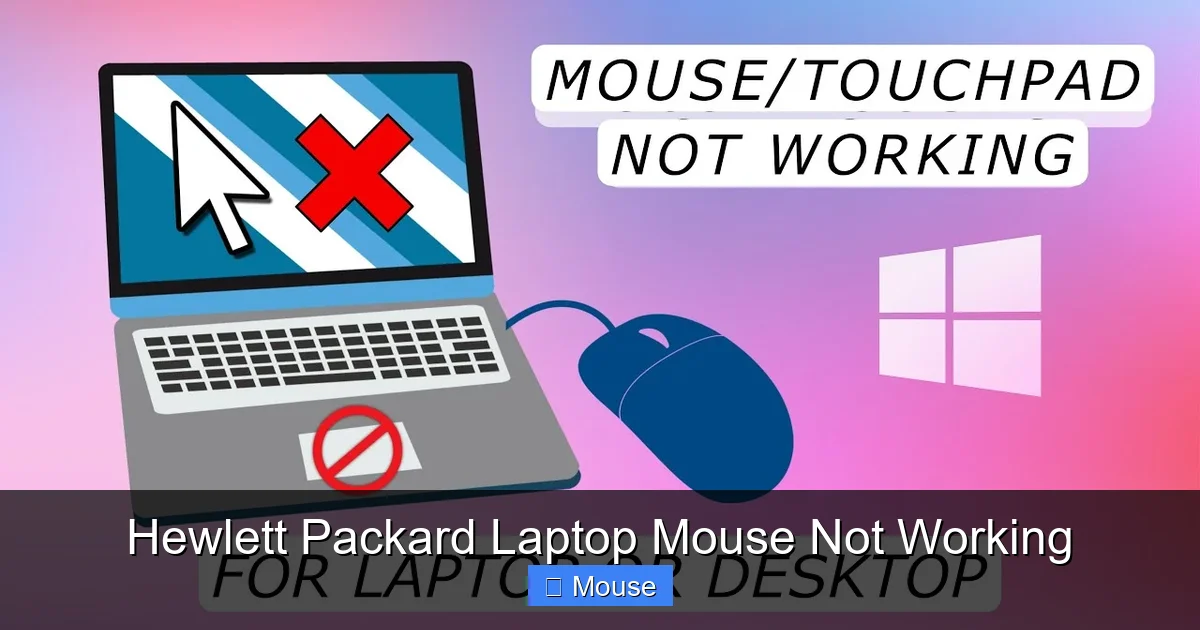 Hewlett Packard Laptop Mouse Not Working