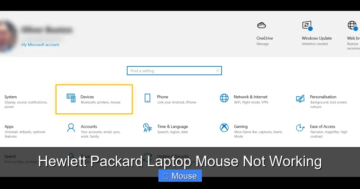 Hewlett Packard Laptop Mouse Not Working