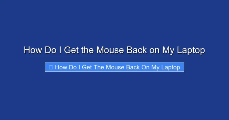 How Do I Get the Mouse Back on My Laptop