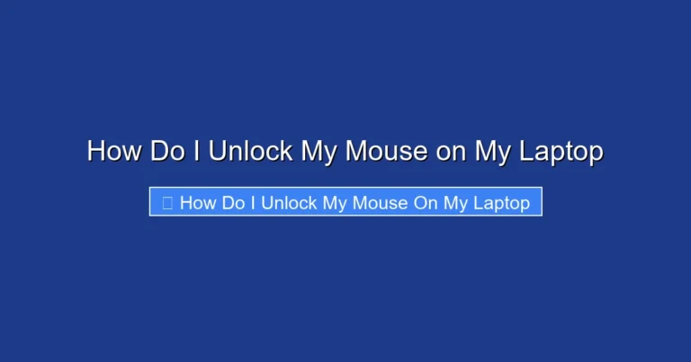 How Do I Unlock My Mouse on My Laptop