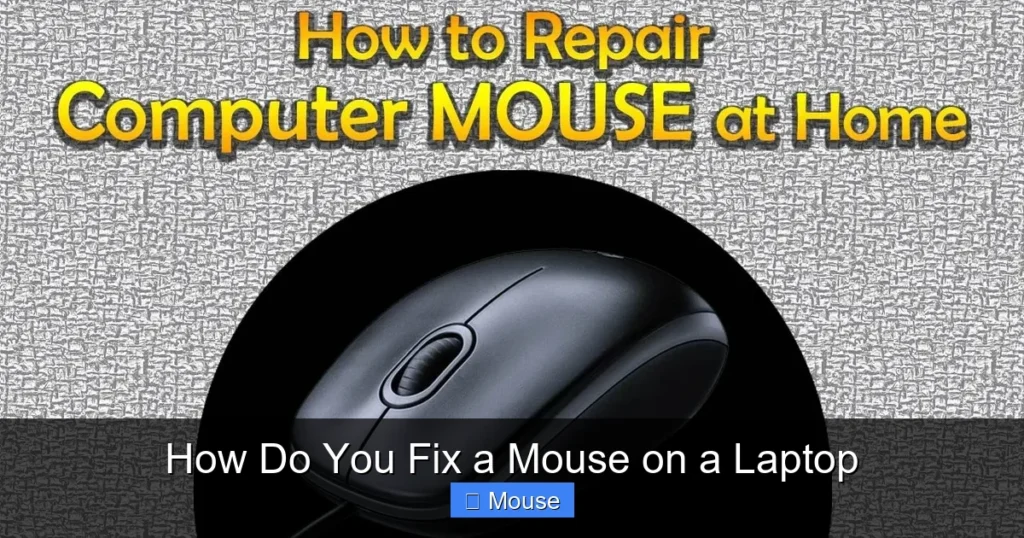 How Do You Fix a Mouse on a Laptop