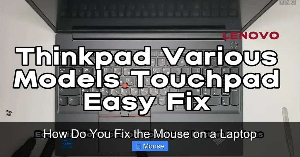 How Do You Fix the Mouse on a Laptop