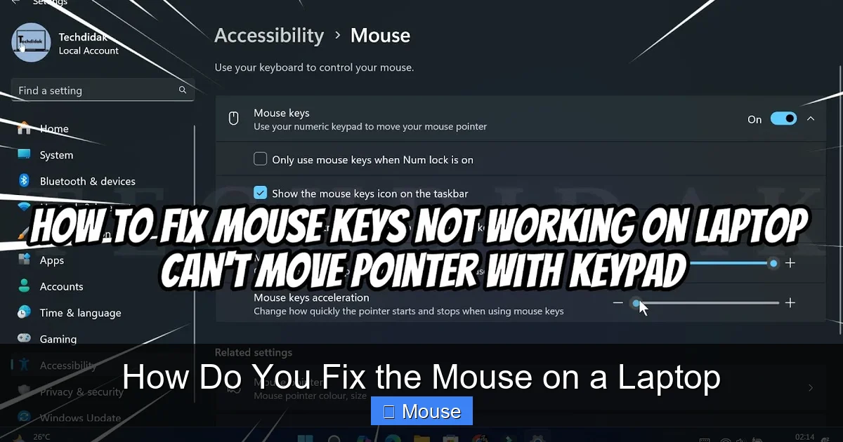 How Do You Fix the Mouse on a Laptop