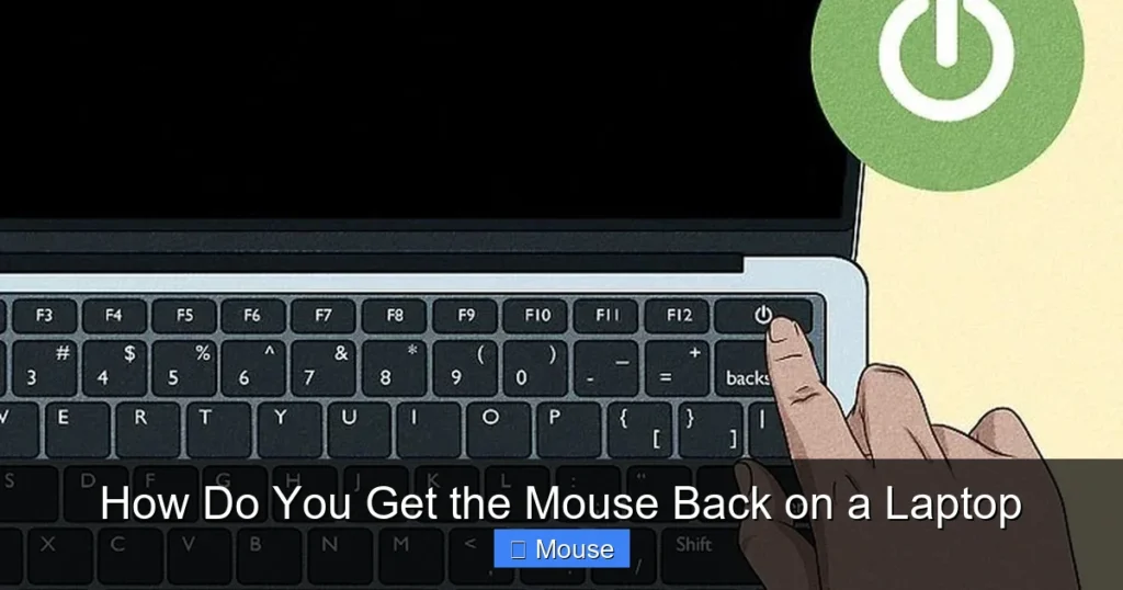 How Do You Get the Mouse Back on a Laptop