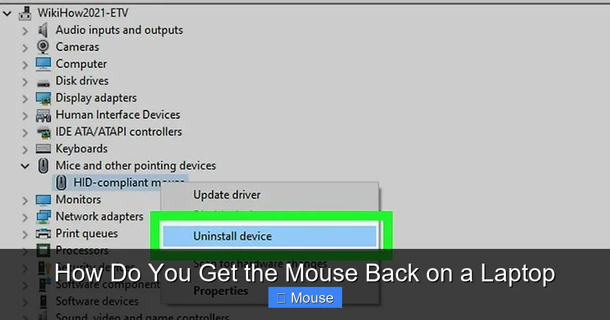 How Do You Get the Mouse Back on a Laptop