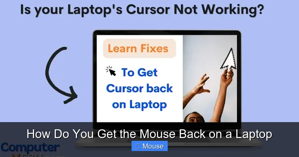 How Do You Get the Mouse Back on a Laptop