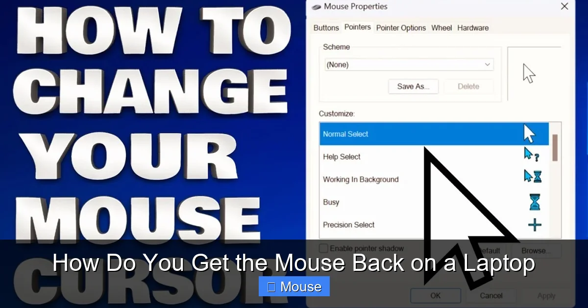 How Do You Get the Mouse Back on a Laptop