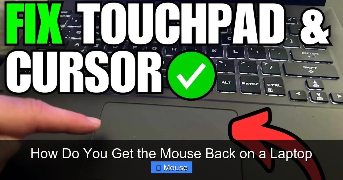 How Do You Get the Mouse Back on a Laptop
