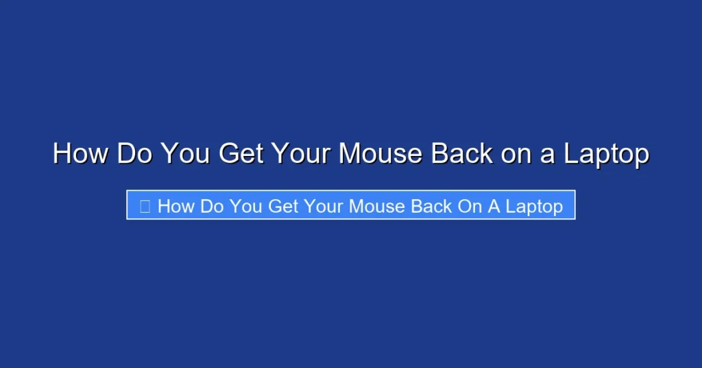 How Do You Get Your Mouse Back on a Laptop