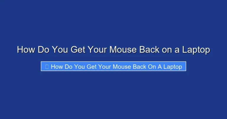 How Do You Get Your Mouse Back on a Laptop