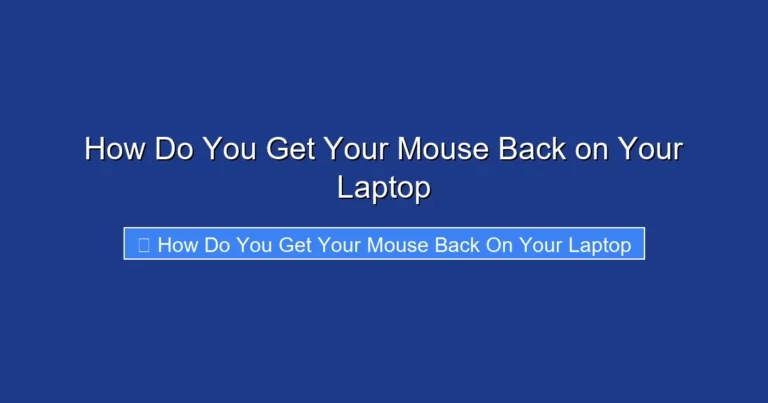How Do You Get Your Mouse Back on Your Laptop