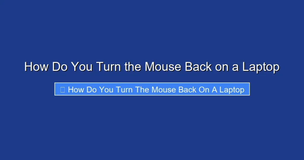 How Do You Turn the Mouse Back on a Laptop